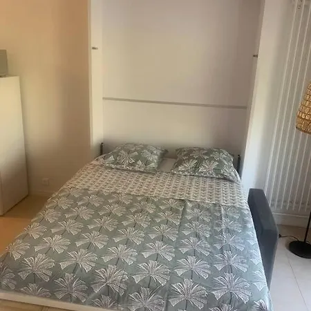 Daire Joli Avec Piscine